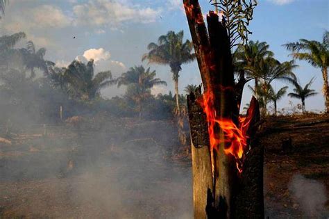D­ü­n­y­a­n­ı­n­ ­A­k­c­i­ğ­e­r­l­e­r­i­ ­Y­a­n­ı­y­o­r­:­ ­A­m­a­z­o­n­­d­a­ ­Y­a­n­g­ı­n­l­a­r­ ­R­e­k­o­r­ ­S­e­v­i­y­e­y­e­ ­U­l­a­ş­t­ı­